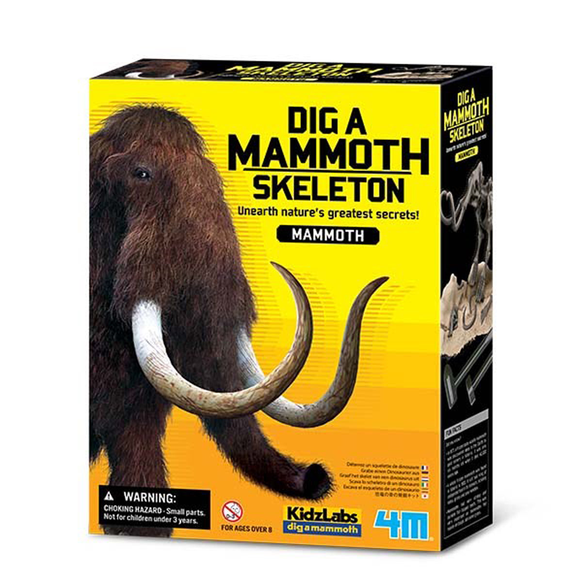 4M Dig a Dinosaur