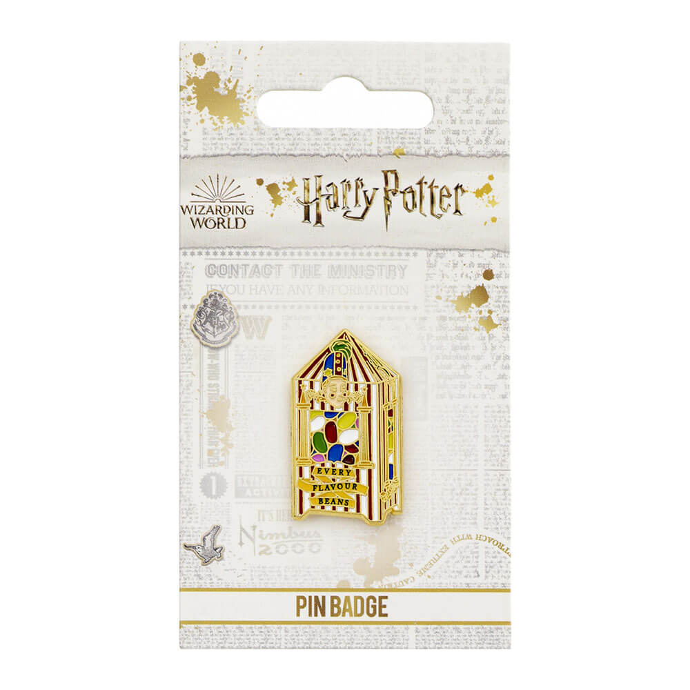 Harry Potter pin badge