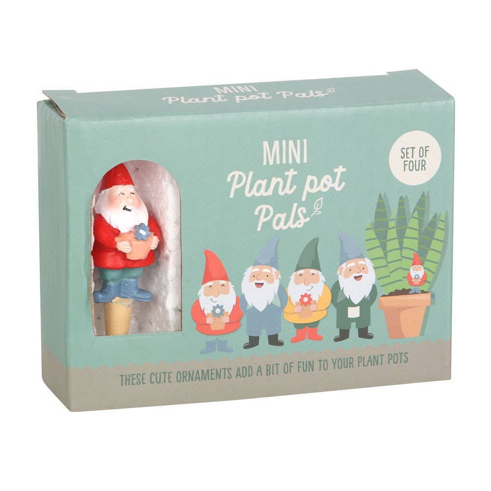 Mini Gnome Plant Pot Pals (Set of 4)